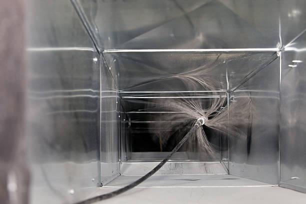 Best Professional Duct Cleaning Services  in Palestine, IL