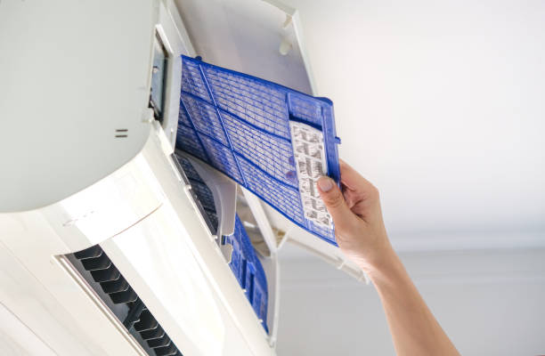 Best HVAC Air Duct Cleaning  in Palestine, IL