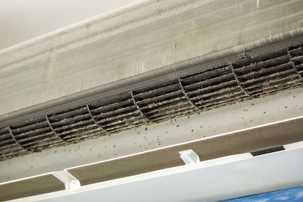 Best HVAC System Cleaning  in Palestine, IL