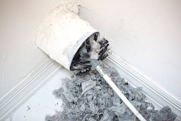 Best Commercial Air Duct Cleaning  in Palestine, IL
