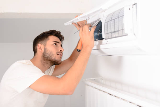 Best Professional Duct Cleaning Services  in Palestine, IL
